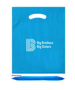 Blue-Reusable-Plastic-Bag